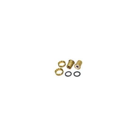 Grundfos 1/2 in. Union Bronze Threaded Isolation Valve Set 519850